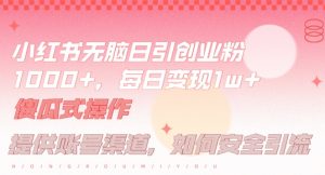 小红书无脑每日引流创业粉500+,小白每天只花半小时,躺赚长尾收益【揭秘】-屈原聊项目