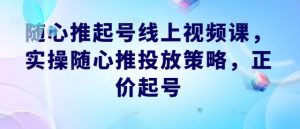 随心推起号线上视频课,实操随心推投放策略,正价起号-屈原聊项目