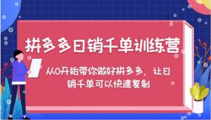 拼多多日销千单训练营,从0开始带你做好拼多多,让日销千单可以快速复制-屈原聊项目