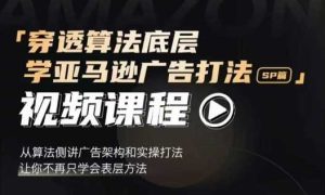 穿透算法底层,学亚马逊广告打法SP篇,从算法侧讲广告架构和实操打法,让你不再只学会表层方法-屈原聊项目