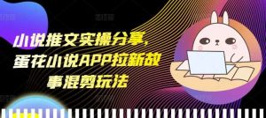 小说推文实操分享，蛋花小说APP拉新故事混剪玩法-屈原聊项目