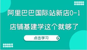阿里巴巴国际站新店0-1,个人实践实操录制从0-1基建,店铺基建学这个就够了-屈原聊项目