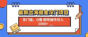 (13672期)最新出海掘金冷门项目,单号日入1000+-屈原聊项目