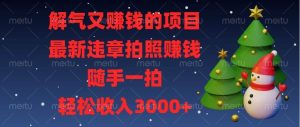 (13686期)解气又赚钱的项目,最新违章拍照赚钱,随手一拍,轻松收入3000+-屈原聊项目