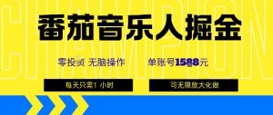 番茄音乐人掘金，单账号最高可撸1k+，可无限矩阵去做，零投入-屈原聊项目