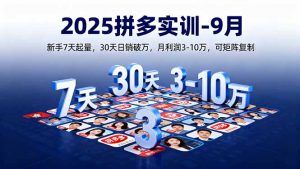 2025拼多多实训-9月：新手7天起量,30天日销破万,月利润3-10万,可矩阵复制-屈原聊项目