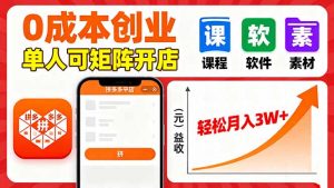 拼多多虚拟电商,0成本,单人可矩阵开店,轻松月入3W+-屈原聊项目