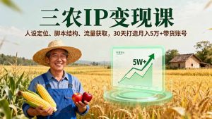 三农IP变现课，人设定位、脚本结构、流量获取，30天打造月入5万+带货账号-屈原聊项目