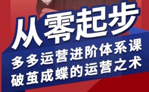 拼多多运营进阶系统课,从零起步,多多运营进阶体系课,破茧成蝶的运营之术(更新9月)-屈原聊项目