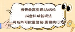 当天最高变现1k+，抖音私域新玩法，可矩阵可批量复制-屈原聊项目