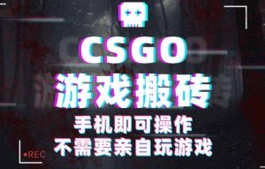 CSGO游戏挂机捡漏,单日扫货500+,年底小高峰上车可吃肉,手机即可操作…-屈原聊项目