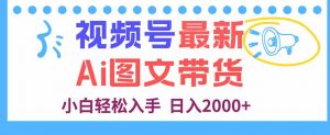 视频号最新AI图文带货，每天几分钟，小白轻松入手，日入2000+-屈原聊项目