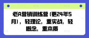 老A营销训练营(更25年10月),轻理论,重实战,轻概念,重本质-屈原聊项目