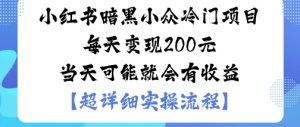 小红书暗黑小众冷门项目每天变现2张当天可能就会有收益-屈原聊项目