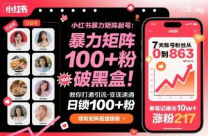 小红书暴力矩阵起号，教你打通引流-变现速通，日锁100+粉，破流量黑盒-屈原聊项目