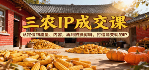 三农IP成交课：从定位到流量、内容，再到拍摄剪辑，打造能变现的IP-屈原聊项目