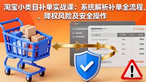 淘宝小类目补单实战课：系统解析补单全流程、降权风险及安全操作-屈原聊项目