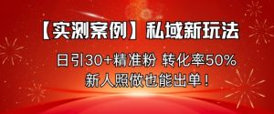 【实测案例】私域新玩法,日引30+精准粉,转化率50%,新人照做也能出单!-屈原聊项目