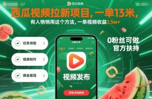 西瓜视频拉新项目,一单13米,有人悄悄用这个方法,一条视频收益2.5w+(附详细教程)-屈原聊项目