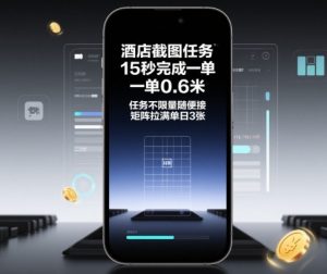 酒店截图任务，15秒完成一单，一单0.6米，任务不限量随便接，矩阵拉满单日3张【揭秘】-屈原聊项目