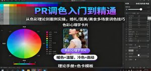 PR调色入门到精通:从色彩理论到案例实操,婚礼/医美/美食多场景调色技巧-屈原聊项目