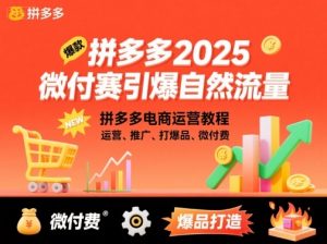 拼多多2025微付费引爆自然流量,拼多多电商运营教程,运营、推广、打爆品、微付费(更新)-屈原聊项目