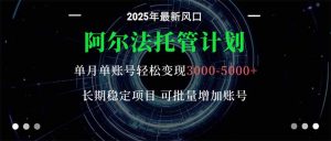 阿尔法托管计划 单账号月入3000-5000,长期稳定项目,新手小白轻松上手。-屈原聊项目