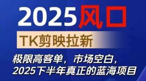 2025风口TK剪映capcut拉新项目,极限高客单,市场空白,2025下半年真正的蓝海项目-屈原聊项目