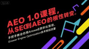 AEO 1.0 课程，从SEO到AE0的基命性转变，手把手教会你用AnswerEngineOptimization技术抢回流量(更新)-屈原聊项目