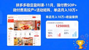 拼多多稳定盈利课-11月,强付费SOP+微付费高投产+活动矩阵,单店月入10万+-屈原聊项目
