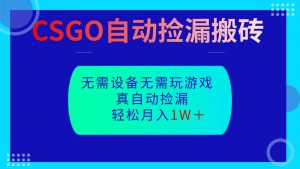 CSGO自动捡漏搬砖，当天操作当天见结果，无需了解游戏，包教包会包落地-屈原聊项目
